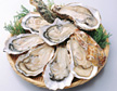 Iwagaki oysters