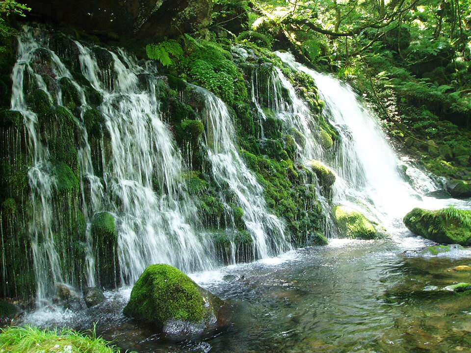 things-nature-sptingwater-main1-and-1 things-nature-sptingwater-main1-and-1