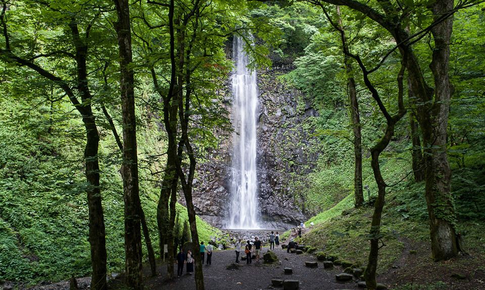 Tamadare Falls boasts the highest height in Yamagata Prefecture as a direct waterfall with a drop of 63 meters